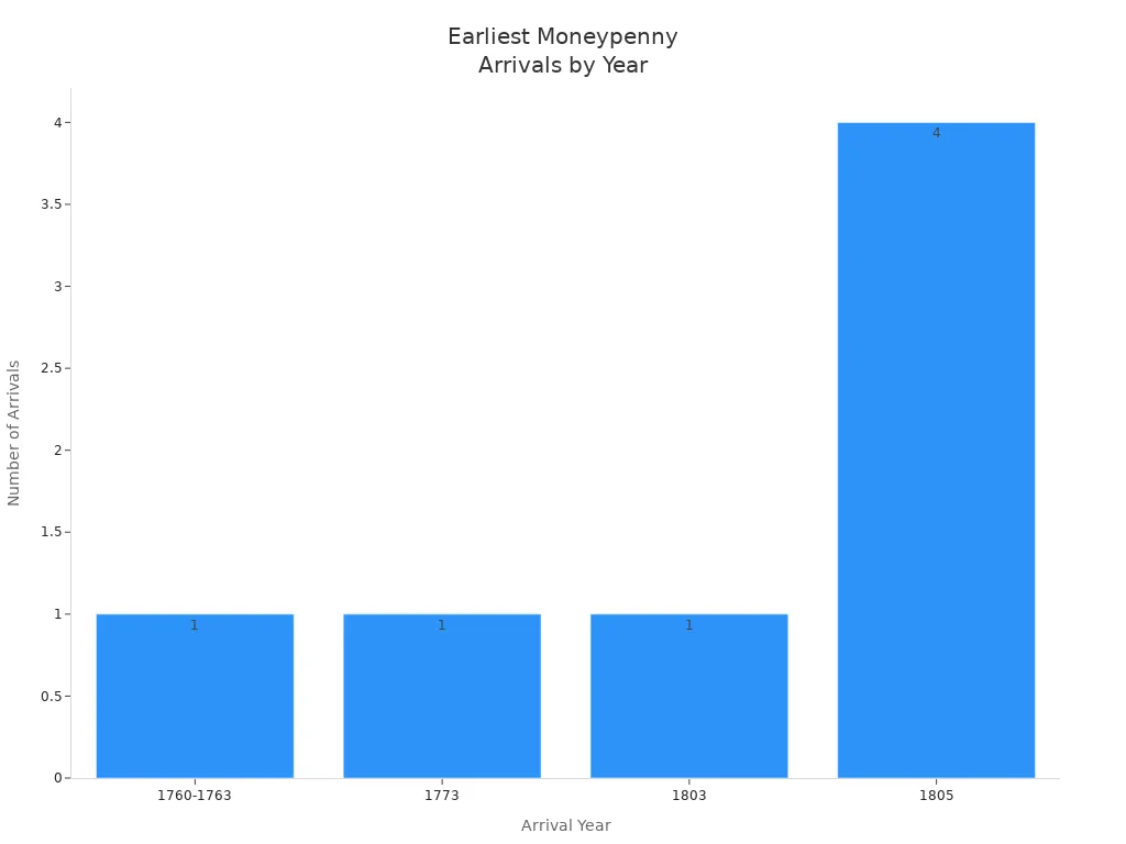 Discovering the Origin and Meaning of Moneypenny in 2026