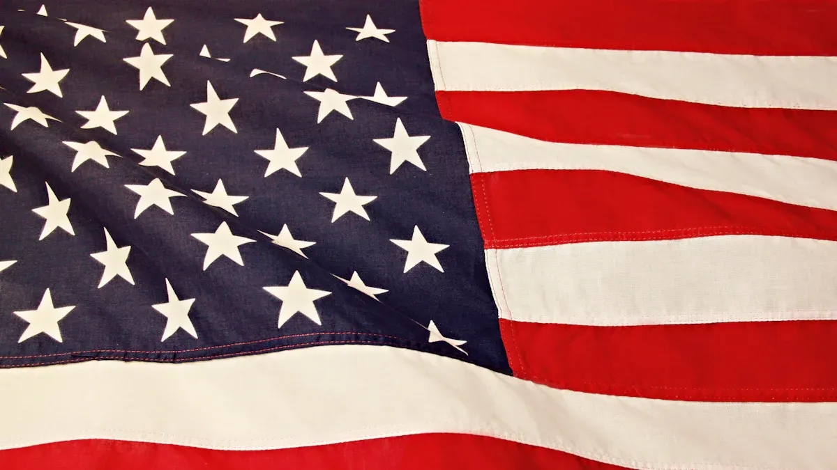 What Are the Main Benefits of U.S. Citizenship in 2025?