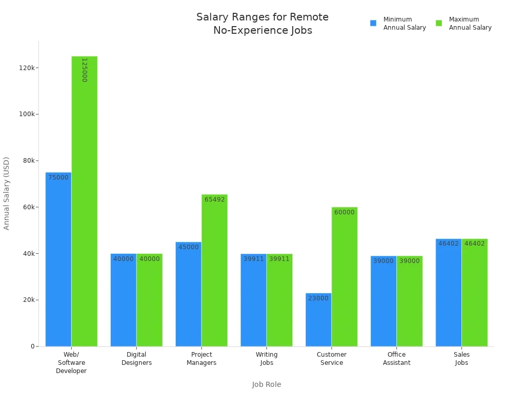 Salary Ranges for Remote No Experience Jobs
