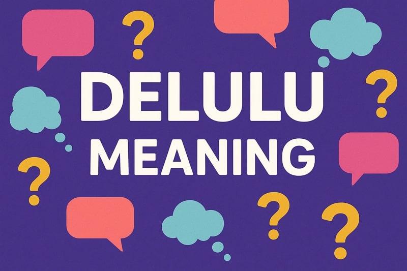 Delulu Meaning Cover