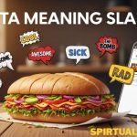 Torta Meaning Slang Cover